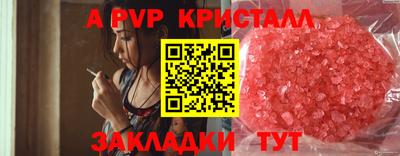 ПСИЛОЦИБИНОВЫЕ ГРИБЫ Кингисепп