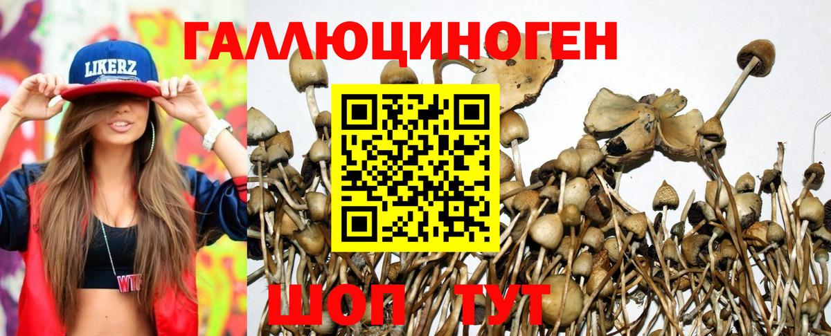 Ханты-Мансийск  Псилоцибиновые грибы GOLDEN TEACHER  Псилоцибиновые грибы GOLDEN TEACHER  Вход с VPN 